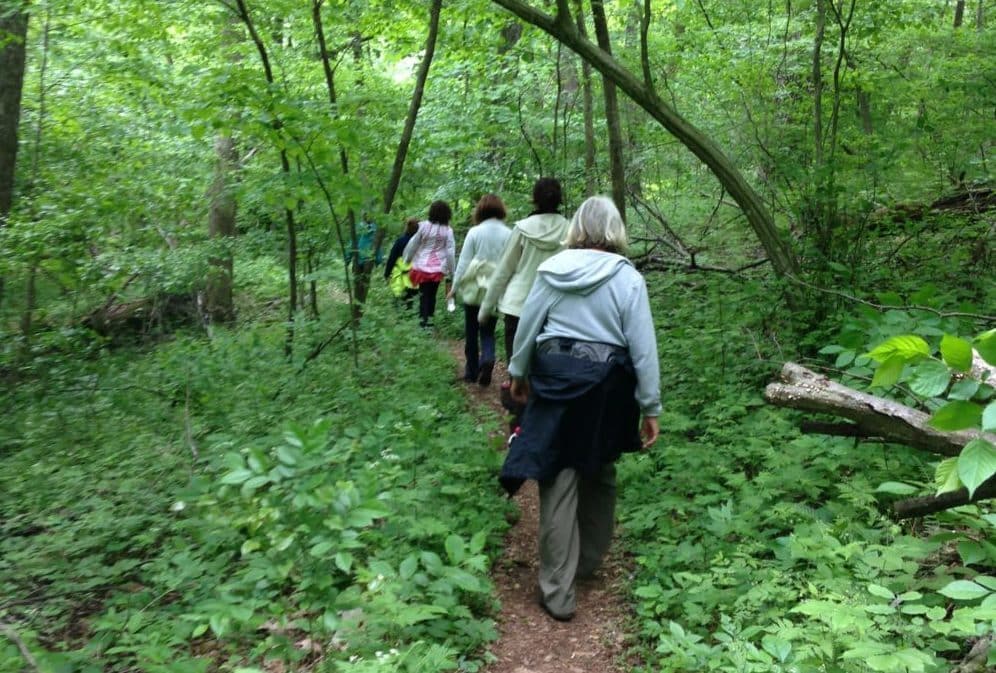 Walking women Walking women