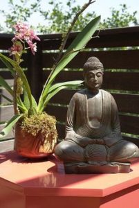 buddha-and-orchid