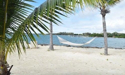 Hammock 500x300 Hammock 500x300
