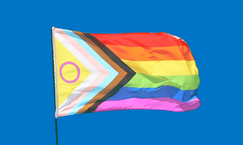 Transgender+ Flag